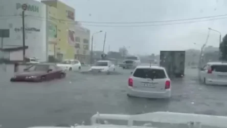 ՏԵՍԱՆՅՈՒԹ. Յուժնո-Սախալինսկի փողոցները հեղեղվել են հորդառատ անձրեւի պատճառով