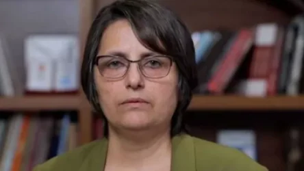 Մենուան ոնց որ կանչում է Արցախ, տարօրինակ բան է․ Կարին Տոնոյան