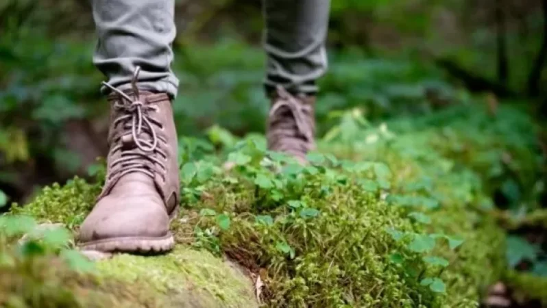 Փրկարարները գտել են անտառում մոլորված Ֆրանսիայի քաղաքացիներին