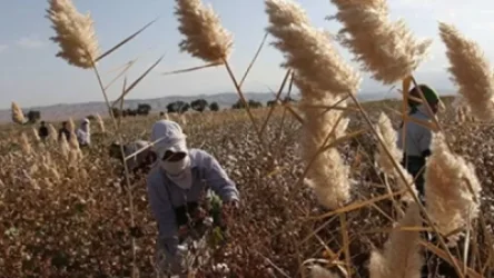 Զանգվածային թունավորում` Ադրբեջանում