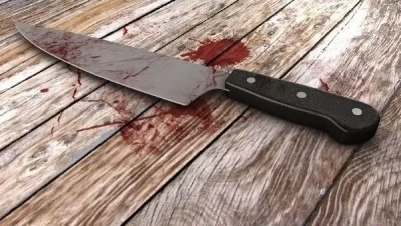 Վիճաբանություն` Նոր Խարբերդում. հայրն ու որդիները դանակահարել են իրար. մայրը մահացել է