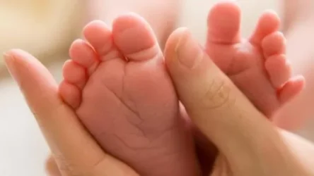«Ժողովուրդ». Հայաստանում այս տարի ծնվածների թիվն ավելացել է