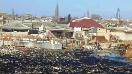 ԼՈՒՍԱՆԿԱՐՆԵՐ․ Ադրբեջանի գյուղերը մազութով և աղբով են պատված․ Ալիևի «էկոակտիվիստները» լուռ են