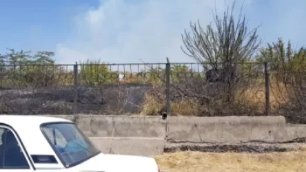 ԼՈՒՍԱՆԿԱՐՆԵՐ. Հրդեհ՝ Բուսաբանական այգում