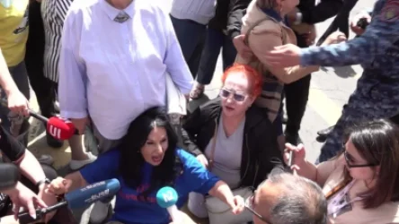 ՏԵՍԱՆՅՈՒԹ․ Ինչպես են ոստիկանները փորձում երթևեկելի մասից հեռացնել Նաիրա Զոհրաբյանին