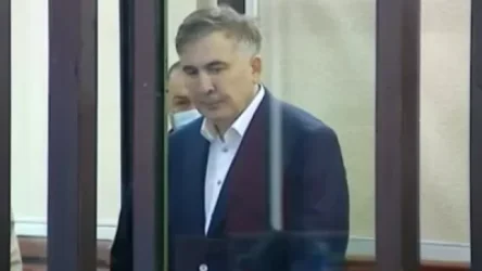 Միխայիլ Սահակաշվիլու մայրը կարծում է, որ որդուն թունավորել են