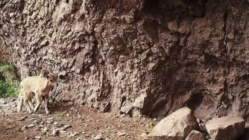 Hunters Urged to Show Responsible Behavior, Says Romanos Petrosyan Alongside Posted Photo