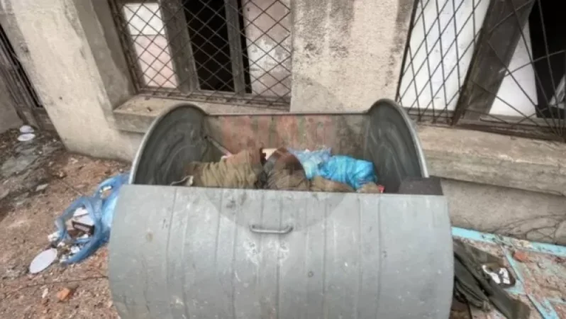 18+․ Մարիուպոլում նեոնացիստ զինյալների դիերը աղբարկղերն են նետում