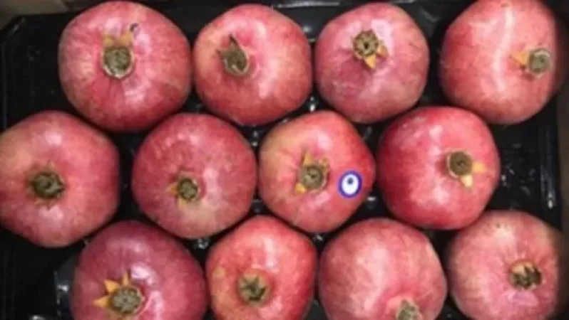 Թուրքական նռան մուտքը Ռուսաստանի Դաշնություն արգելվել է