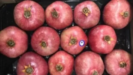 Թուրքական նռան մուտքը Ռուսաստանի Դաշնություն արգելվել է