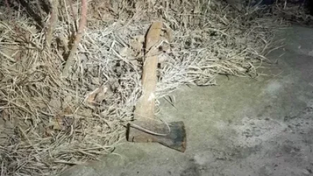 Տղամարդը փորձել է կացնով վնասել պարեկին. ՔԿ-ն մանրամասներ է հայտնել