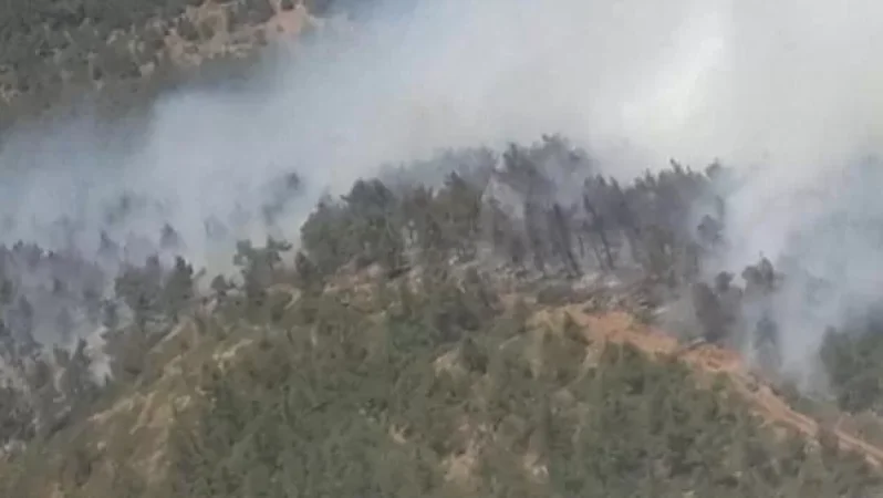 Թուրքիայի Հաթայ նահանգում 4 օր շարունակվող հրդեհը 5 հա անտառ է մոխրի վերածել