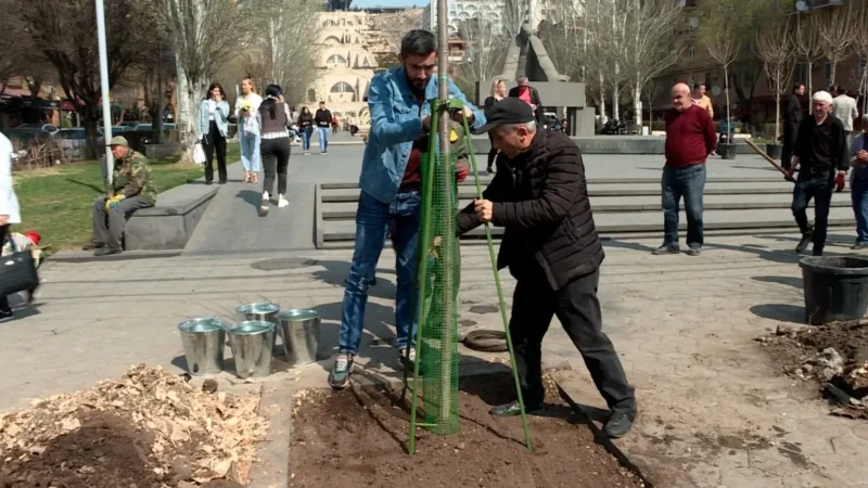 How Much Money is Spent on Yerevan's Greening