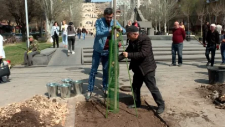 Որքա՞ն գումար է ծախսվում Երևանի կանաչապատման համար