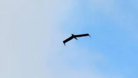 ՀՀ օդային տարածքում հակառակորդի 3 ԱԹՍ է խոցվել, Արցախում՝ 1 ԱԹՍ. Շուշան Ստեփանյան