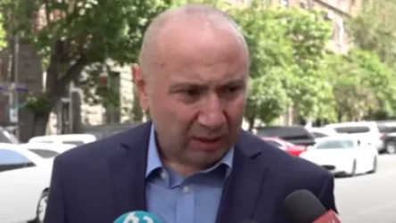 «Աշոտ Փաշինյանը պետք է հետ վերցնի իր դիմումը, որովհետև ինքը շատ վատ քայլի է գնալու». Անդրանիկ Թևանյան