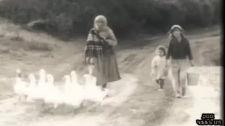 ՏԵՍԱՆՅՈՒԹ. Ինչու ընդվզեց Արցախը. ազերիների կատարած ոճրագործությունը դեռ  ԽՍՀՄ օրոք