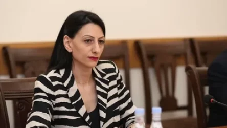 Ադրբեջանի ԶՈւ-ն խրամատներ են փորել ու տեղակայվել բնակիչներին պատկանող խոտհարքներում․ ՄԻՊ զեկույցը