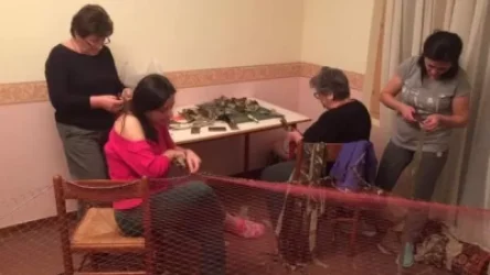 Սահմանի համար ցանցեր են հյուսվում և պատրաստվում նաև բնակարաններում. ԿԳՄՍ նախարար