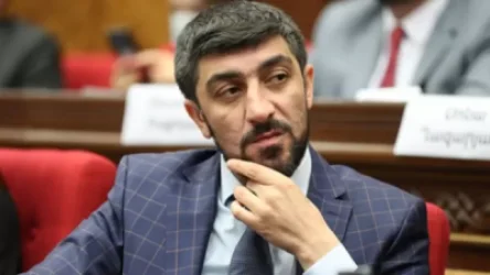 Գաբրիելյանը` «Զենքի մասին» օրենքի նախագծի հետաձգման մասին