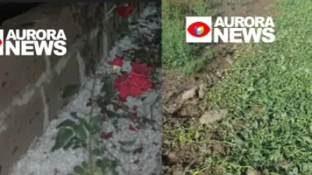 Մշակաբույսերը հավասարվել են հողին․ Եղեգնուտում 15 րոպե կարկուտ է տեղացել