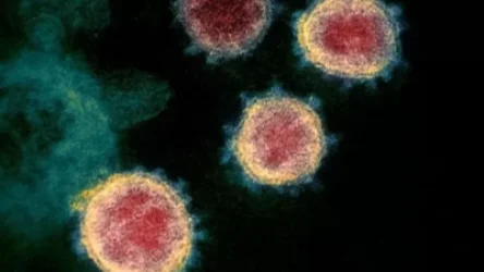 Բրիտանացի գիտնականները Covid-19-ի ավելի վարակիչ տեսակ են հայտնաբերել