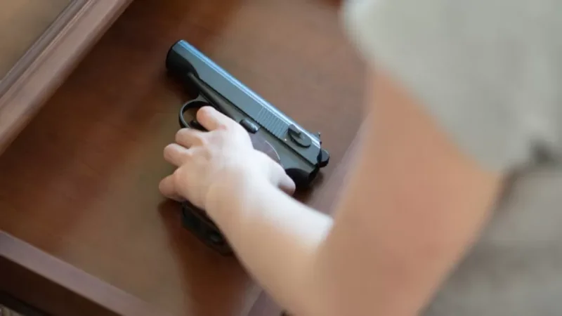 27-ամյա աղջիկը ատրճանակով սպառնացել է թանգարանի այցելուներին. Սանկտ Պետերբուրգ