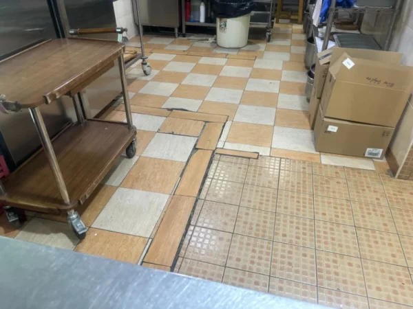 ԼՈՒՍԱՆԿԱՐՆԵՐ. Ծաղկաձորում կասեցվել է հանրային սննդի օբյեկտի արտադրական գործունեությունը