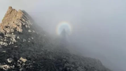 ՏԵՍԱՆՅՈՒԹ․ Ալմաթիի լեռնային «ուրվականը»