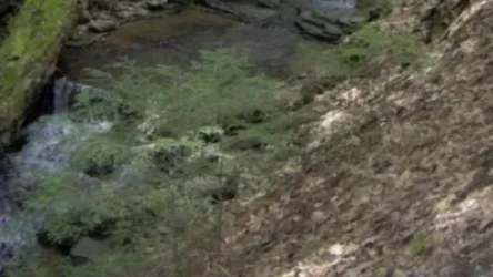 Դիլիջանում քաղաքացին ընկել է ձորը