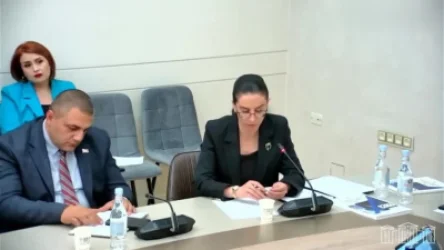 ՏԵՍԱՆՅՈՒԹ. «Բոլո՞րն են հավասար օրենքի առաջ, թե որոշ մարդիկ ավելի հավասար են»․Արսեն Թորոսյանը՝ Աննա Վարդապետյանին