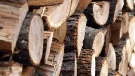 Երևանի քաղաքապետարանը վառելափայտ կտրամադրի սոցիալապես անապահով ընտանիքներին