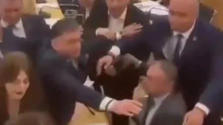 ՏԵՍԱՆՅՈՒԹ. Ծեծկռտուք` Վրաստանի խորհրդարանում