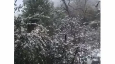 ՏԵՍԱՆՅՈՒԹ. «Գորիսը՝ այս պահին». Գագիկ Սուրենյան