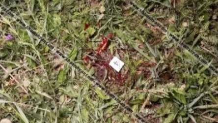 Նոր մանրամասներ` Ապարանի արյունալի միջադեպի հետևանքով վիրավորում ստացածների առողջական վիճակի մասին