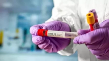 Արցախ մտնելիս անհրաժեշտ է մինչև 3 օրվա վաղեմության ՊՇՌ թեստի պատասխանի թղթային տարբերակը