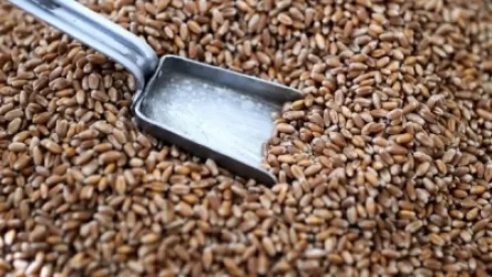 Անկարան հաստատել է, որ Մոսկվայի, ՄԱԿ-ի և Կիևի հետ հացահատիկի հարցերով հանդիպում տեղի կունենա