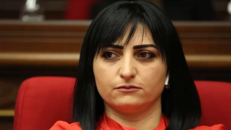 «Արցախցին Հայաստանում պետք է ապրի իր սեփական տանը և հայրենիքում նոր կյանքի ադապտացվի». Թովմասյան