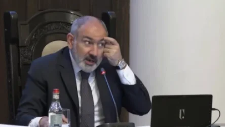 ՏԵՍԱՆՅՈՒԹ․ Կարող ենք գնալ, տեսնել, թե ում տանը քանի ավելորդ դեղ կա ու քանի դարակ. Փաշինյան