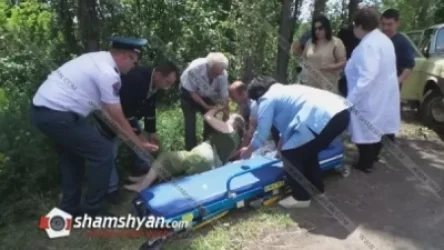 Խոշոր ավտովթար Գեղարքունիքի մարզում. բախվել են Mercedes-ն ու Газ 2411-ը. Տուժած կա