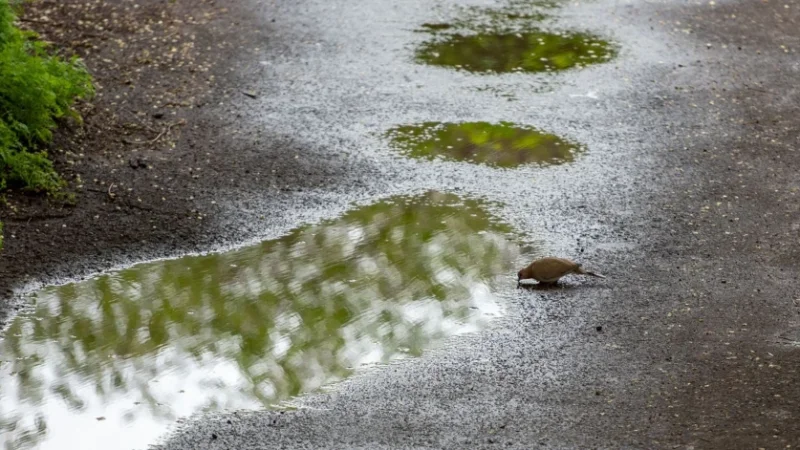 Եղանակը՝ Հայաստանում. որոշ մարզերում ջերմաստիճանը կնվազի՝ անձրևներ և քամու ուժգնացում է սպասվում
