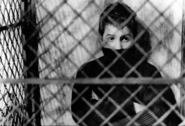 Հայաստանում անչափահասների կատարած հանցագործությունների դեպքերն այս տարի ավելացել են