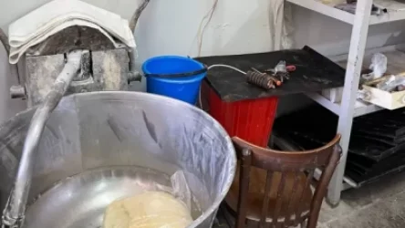 Միջատներ, նորմերի կոպիտ խախտումներ. կասեցվել է հացաբուլկեղենի արտադրամասի գործունեությունը