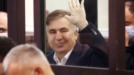 Օրգանիզմում մկնդեղ է հայտնաբերվել. ի՞նչ է պատմել Սաակաշվիլիի փաստաբանը