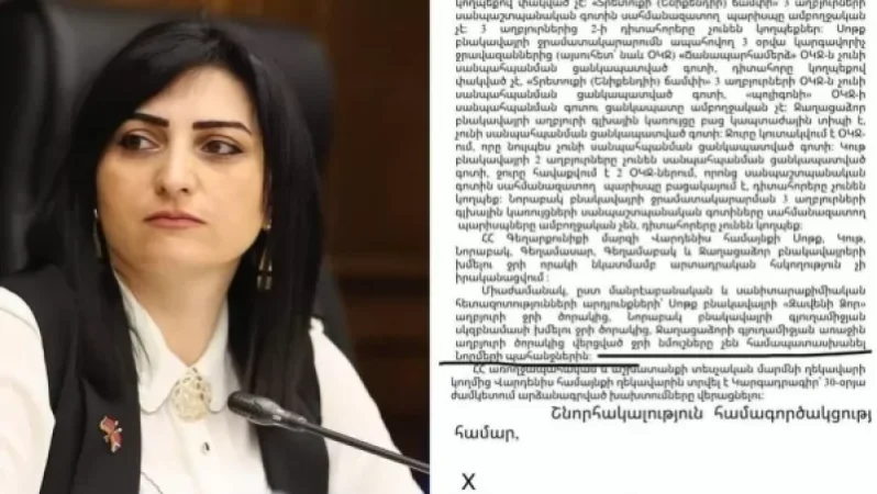 Ծորակից խմելու ջրի նմուշները չեն համապատասխանել նորմերին. Թագուհի Թովմասյան