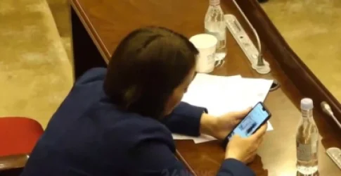 ՏԵՍԱՆՅՈՒԹ․ Մինչ ԱԺ-ում թեժ քննարկում էր, ՔՊ պատգամավոր Լուլուն ինտերնետով հագուստ էր ընտրում