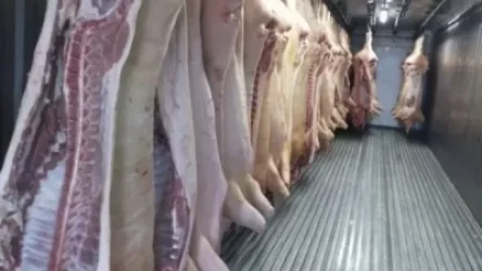 Խոզերի աֆրիկական ժանտախտի մուտքը Հայաստան կանխելու համար ժամանակավորապես արգելվում է 7 երկրից կենդանի խոզի և խոզի մսի ներմուծումը