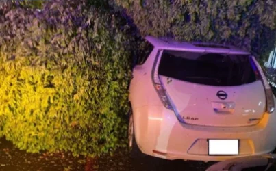 Երևանում ծառը կոտրվել և ընկել է կայանած ավտոմեքենայի վրա