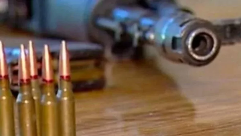 Վարդենիսի տներից մեկում հայտնաբերվել է նռնակներ, ռետինե մահակ, 250 տարբեր տրամաչափի փամփուշտ