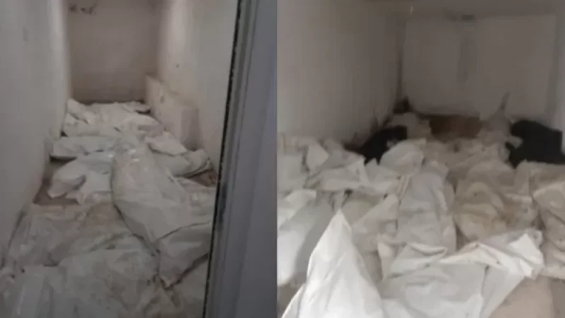 Ստացվում է՝ այս սրիկայության, գարշելի արարքի համար որևէ մեկը պատասխանատու չէ. Հակոբյան